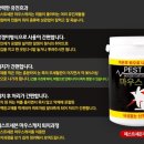 페스트캐치 - 남동구 인주대로 857 | 페스트캐치