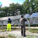 노지태양광발전소 | 임야 노지 태양광 발전소 청소