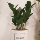 용인대 국가대표 유도장 이미지