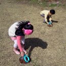 소이초등학교 이미지