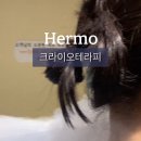 에르모크라이오테라피&다이어트 이미지