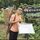 매미농장 이미지