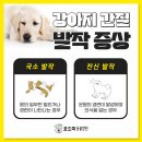 석적동물병원 네이버블로그