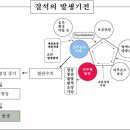 경희피레토한의원 이미지