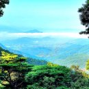 설매재자연휴양림 이미지