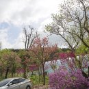 순성보건지소 이미지