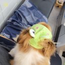 김선생안경 이미지