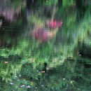 세명컴퓨터고등학교 이미지