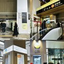 스카이 | 시부야스카이 후기｜도쿄 여행에서 가장 추천하는 전망대