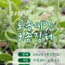 법인씨앗