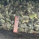 마이바당 이미지