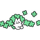 옐로우립
