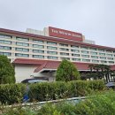 카멜리아의원 이미지