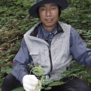 천종농장 이미지