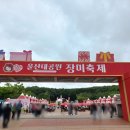 장미문구 | 울산대공원 장미축제 다녀온 후기, 봄 향기에 제대로 힐링하고 왔어요