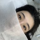 로로아로 이미지