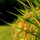 경희해암한의원 이미지