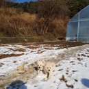 마루농장2 이미지