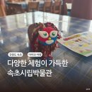 속초시립박물관 | 아이와 속초 여행 추천 코스 속초시립박물관 아바이마을 문화촌 체험 후기