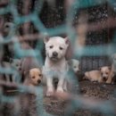 상식농장 이미지