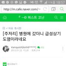 코난 급성상기도염드립 실패의현장ㅋㄱㄱㅋㅋㄱㄱㅋㅋ 이미지