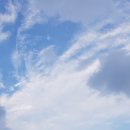 구천농장 이미지