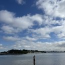 재봉틀로 꾸미는 행복한 우리집 | 호주 간호사 2달 차 후기 :: 호주 정착 2달 차, 3교대 풀타임 간호사로 살아남기