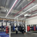 인천금강복싱체육관 | 체력거지 초보의 복싱 시작기 / 영종도 BF복싱체육관 /