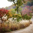 광명동굴 이미지