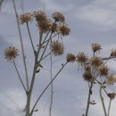 함평자연생태공원 이미지