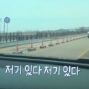 비둘기미용실 이미지