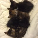 해랑농장 이미지