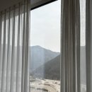 [파크로쉬 호캉스] 힐링•웰빙여행치곤 너무바쁜 1박2일 후기