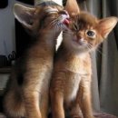 나도나도 이미지