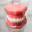 종로밀레니엄치과의원 이미지