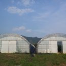 오디하우스 이미지