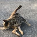 십칠다시이십 이미지