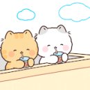 베이비캐슬 어린이집