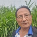주민차치 워크숍 이미지