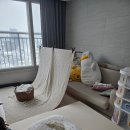 [신생아 뉴본스냅] 군산본아트 / 집으로 출장오는 사월스냅 내돈내산 이용후기