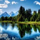 자연-이미지 이미지