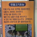 청정민물매운탕 | [두만강 청정 민물매운탕]민물매운탕장한평 맛집 후기