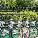 대영자전거 이미지