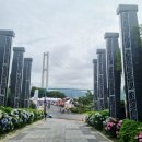 장생포사진관 | 울산 수국 축제 첫날! 장생포 수국 축제 후기, 주차, 먹거리 정보