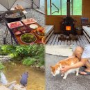 상하정육점 | [홍천펜션] 내돈내 홍천높은터펜션 무한리필펜션 3식 패키지 & 계곡펜션 힐링 후기