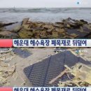 태풍수산주