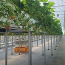 자담농장 이미지