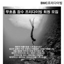 아피아(AFIA) 네이버블로그