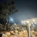 돌담스테이 - 서귀포시 온평포구로54번길 61 | 돌담스테이