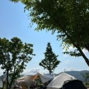 김천 오토캠핑장 팜스프링 캠핑장 아이랑 갔다 온 후기(수영장, 동물, 모래놀이, 키즈카페)